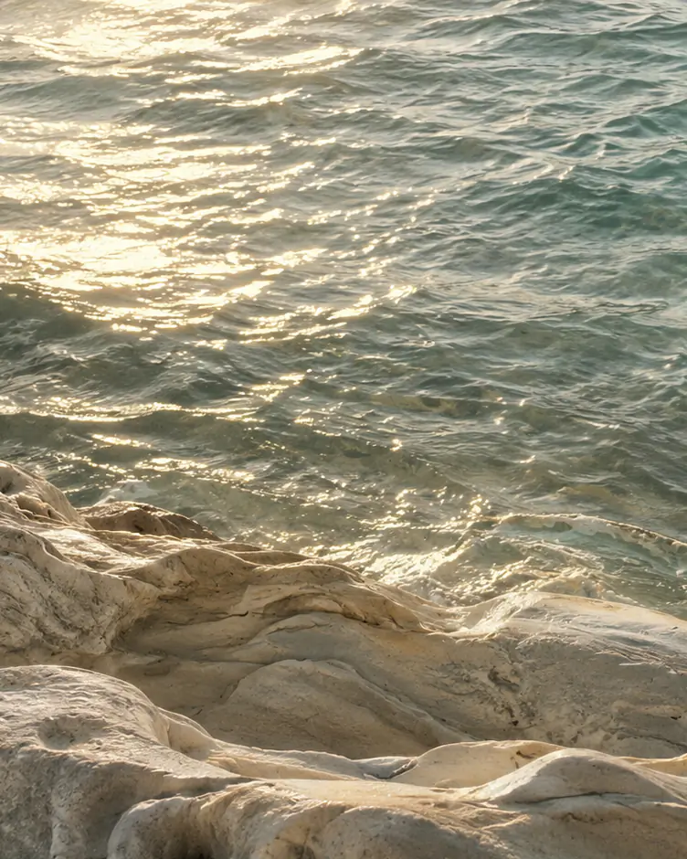 Sunlit sea water glinting above a pale, weathered rock shoreline.